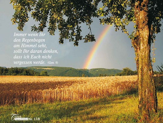 "Regenbogen im Feld"  4er-Nutzen