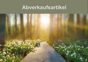 Abverkaufsartikel