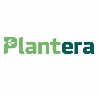 Plantera Urnen