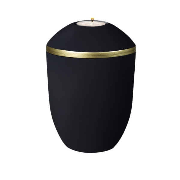 PURE BIO-LEHM Memory basalt gold