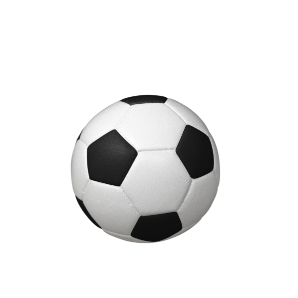 FUSSBALL BIO-LEHM Urne schwarz-wei&szlig;