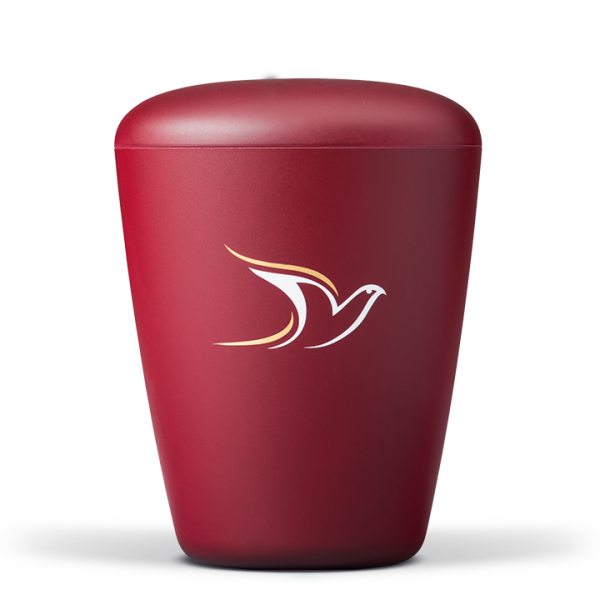 Biourne Weinrot Velour, Taube Gold/Weiss