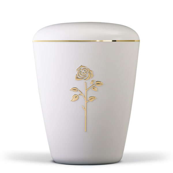 Biourne Cremewei&szlig;,  Rose Stripdome , Goldband