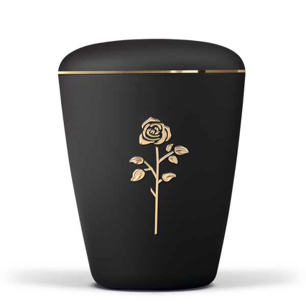 Biourne Anthrazit Velour Rose Stripdome , Goldband