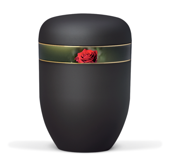 Anthrazit Velour, Dekorband Rosenbl&uuml;te