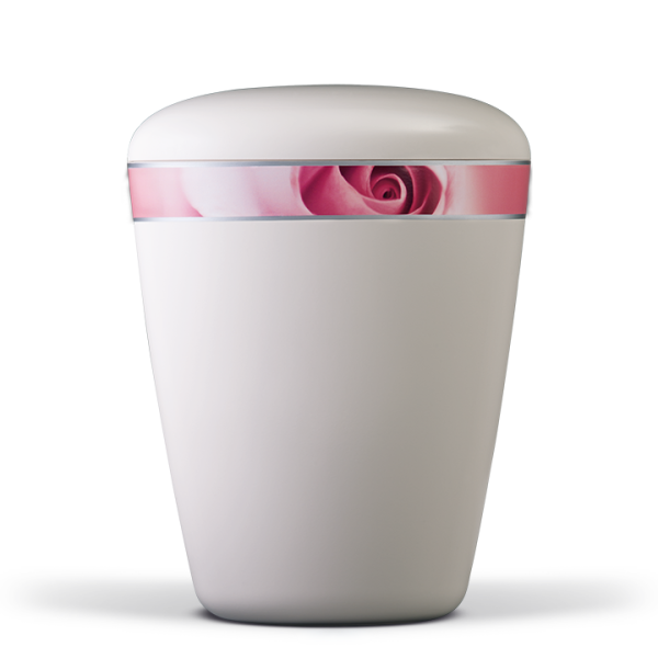 Biourne Cremewei&szlig;, Dekorband: Rosenbl&uuml;te