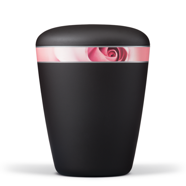Biourne Anthrazit Velour,  Dekorband: Rosenbl&uuml;te