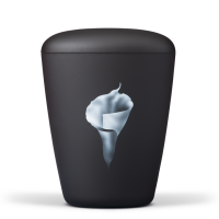 Biourne Anthrazit Velour, Airbrush: Calla