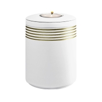 NOVA BIO-LEHM Memory wei&szlig; gold