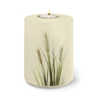 AQUA FLORA BIO-LEHM Memory Binsen sandbeige