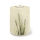 AQUA FLORA BIO-LEHM Memory Binsen sandbeige