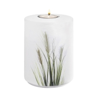 AQUA FLORA BIO-LEHM Memory Binsen wei&szlig;
