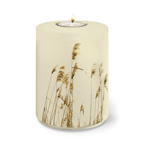 AQUA FLORA BIO-LEHM Memory Schilf sandbeige