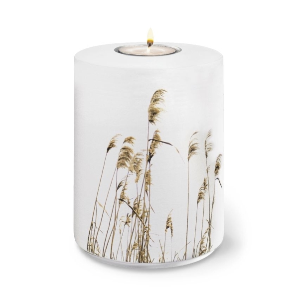 AQUA FLORA BIO-LEHM Memory Schilf wei&szlig;
