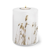 AQUA FLORA BIO-LEHM Memory Schilf wei&szlig;