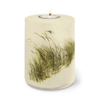 AQUA FLORA BIO-LEHM Memory Strandhafer sandbeige