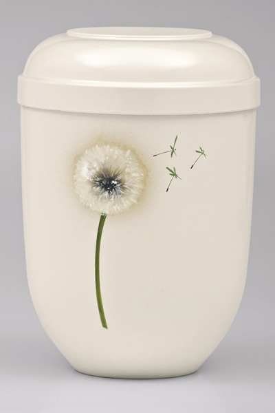 Biourne Cremeweiss, Airbrush  Motiv: Pusteblume