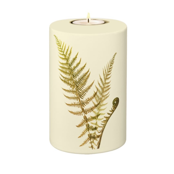 FLORA BIO-LEHM Memory Farn sandbeige