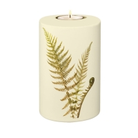 FLORA BIO-LEHM Memory Farn sandbeige