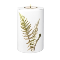 FLORA BIO-LEHM Memory Farn wei&szlig;
