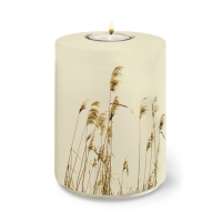 FLORA BIO-LEHM Memory Schilf sandbeige