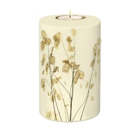 FLORA BIO-LEHM Memory Silberblatt sandbeige
