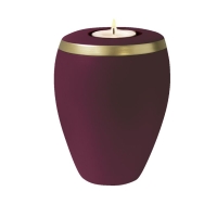 OMEGA BIO-LEHM Memory brombeer gold