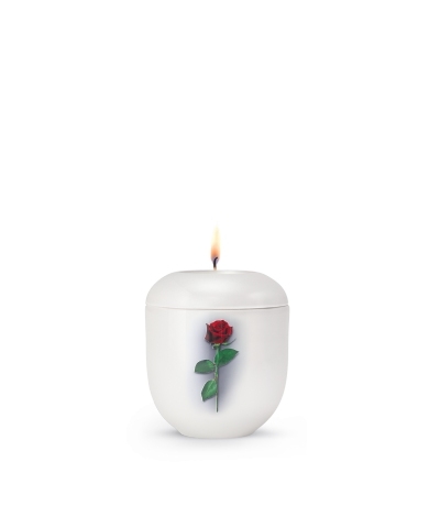 Porzellanurne Fleur Blanche, Design Rose -
