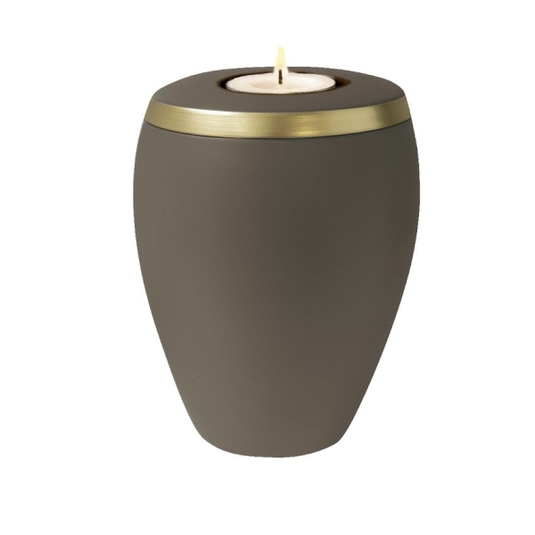 OMEGA BIO-LEHM Memory teak gold