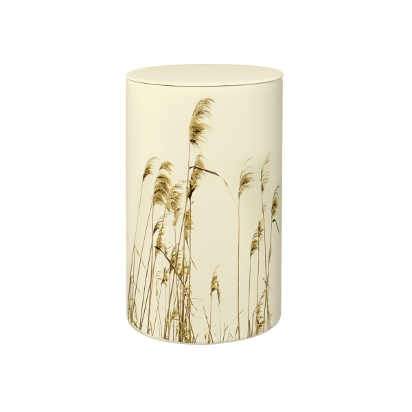FLORA BIO-LEHM Urne Schilf sandbeige