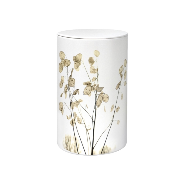 FLORA BIO-LEHM Urne Silberblatt wei&szlig;