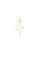 Dekor Gold - ROSE GOLD