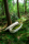 Loop Living Cocoon&trade;