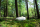Loop Living Cocoon&trade;