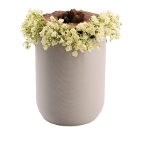 Urne Bl&uuml;te der Erinnerung Grau (Haupt Nussbaum)