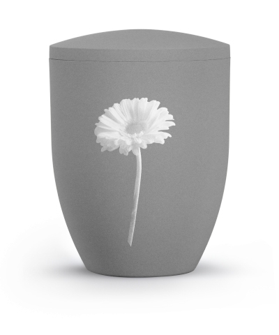 Edition By Nature, steingrau, Gerbera, BOK Motive