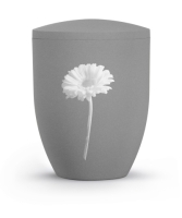 Edition By Nature, steingrau, Gerbera, BOK Motive