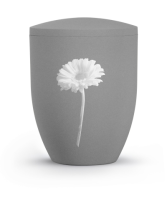 Edition By Nature, steingrau, Gerbera, BOK Motive