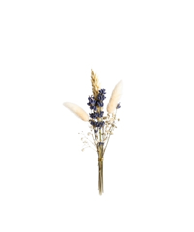 Edition Blomma, Lavendel Trockenblumenstrau&szlig;