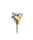 Edition Blomma, Wildblumen Trockenblumenstrau&szlig;