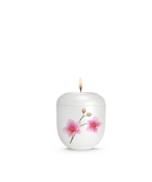 Edition Aurelia, Perlmutt weiss, Orchidee, Gedenklicht