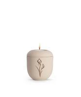 Editon Classique, samton Creme, Calla, Gedenklicht