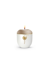 Edition Essence, Pusteblume, Velvet Champagner, Gedenklicht
