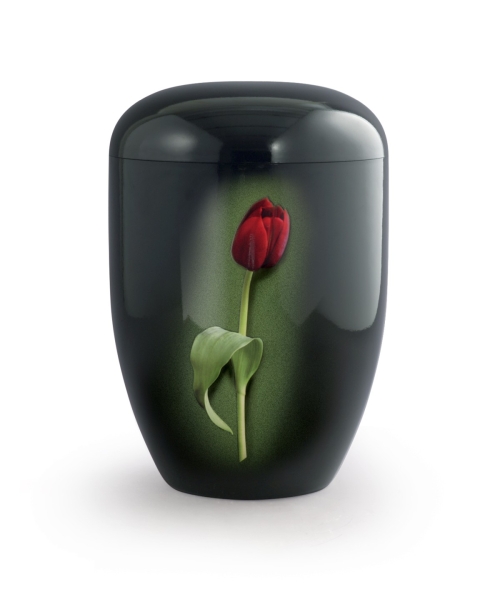 Edition Fleur, Klavierlack schwarz, Tulpe, biol. abbaub.