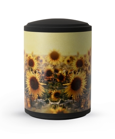 Edition Ventura, samton schwarz, Band aus Pflanzenfasern, Sonnenblumen
