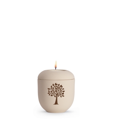 Editon Classique, samton Creme, Lebensbaum, Gedenklicht