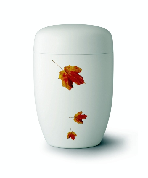 Edition 1, weiß satiniert, Indian Summer, Cestal