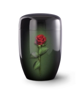 Edition Fleur Noire, Klavierlack schwarz, Rose, Cestal