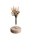 Edition Blomma, Blumenvase mit Ahornsockel und Naturgräser Trockenblumenstrauß (Komplettpaket)