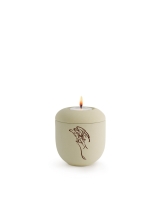Edition Classic, Creme, Engel, Gedenklicht